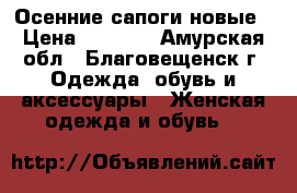 Осенние сапоги новые › Цена ­ 2 100 - Амурская обл., Благовещенск г. Одежда, обувь и аксессуары » Женская одежда и обувь   